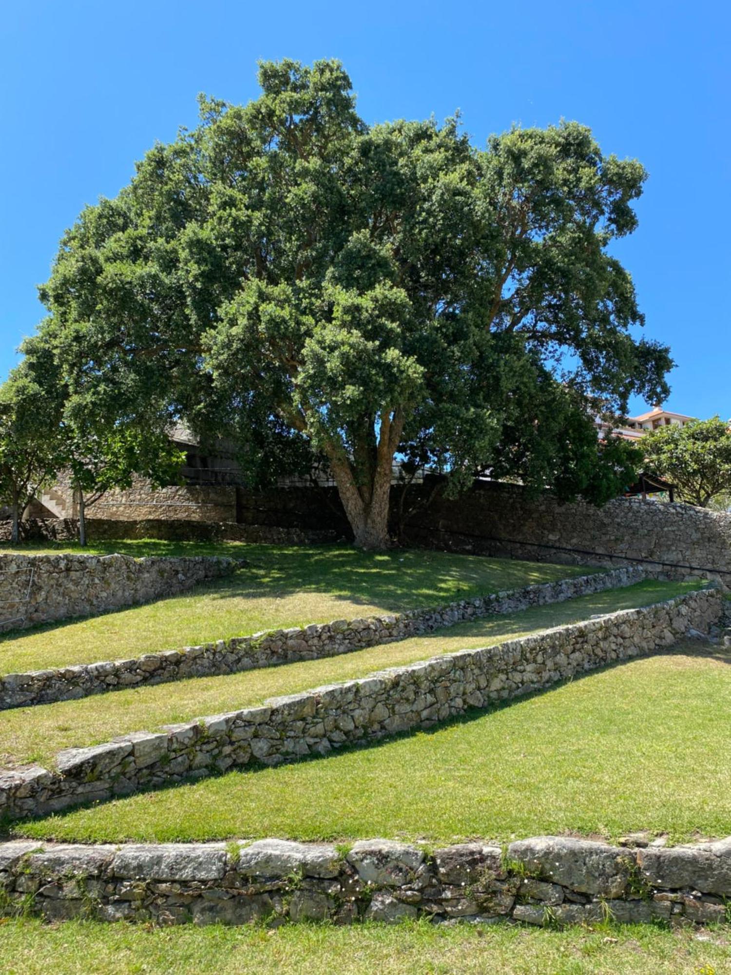 Apartamento Para 5 Con Vistas A Portugal Daire A Guarda Dış mekan fotoğraf